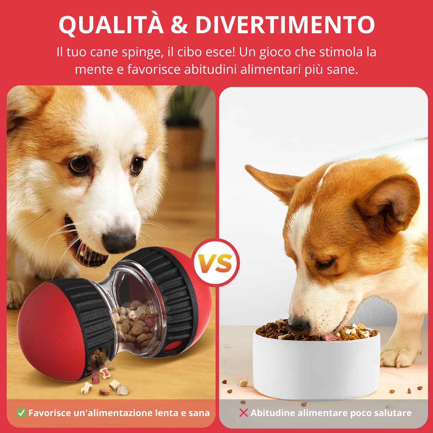 SmartBall – Il Giocattolo Interattivo che Trasforma il Cibo in un Gioco! 🍪 - immagine 6